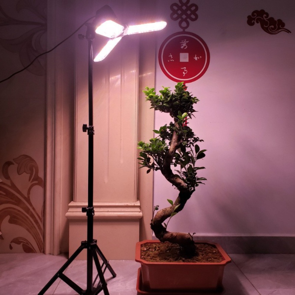 Statif Lampu 2M, Soket AC E27  - Photography Lighting Studio ulasan dan harga
